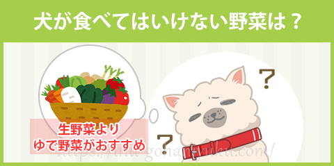 犬が食べてはいけない野菜は？