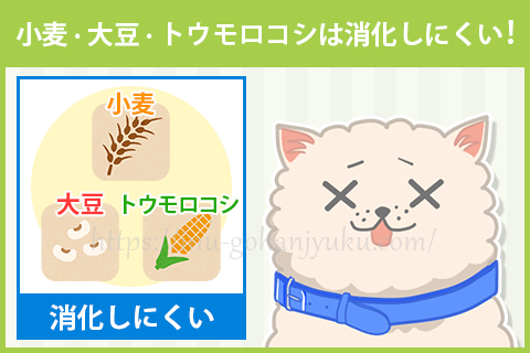 【ポイント2】小麦・大豆・トウモロコシは避ける！